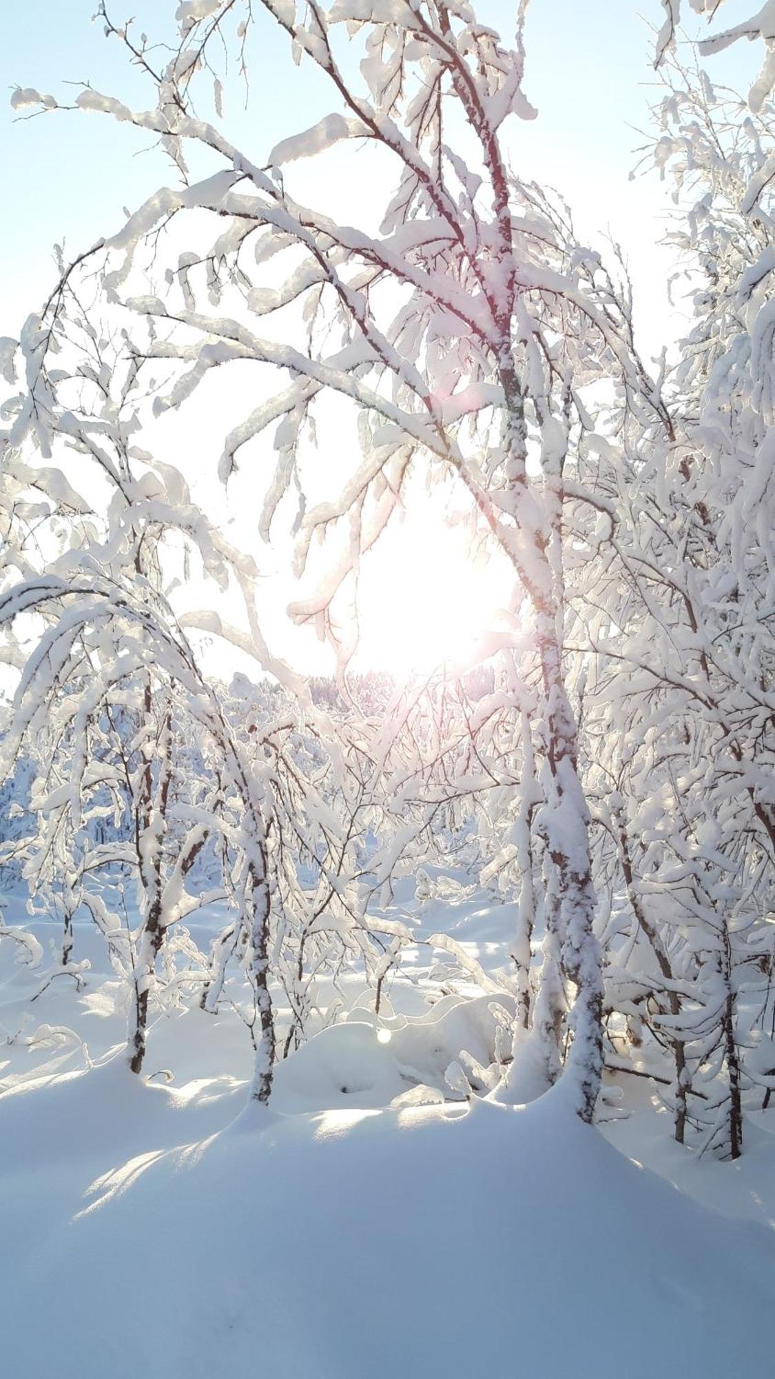 Majatalo Jurtta * Rautuskylä